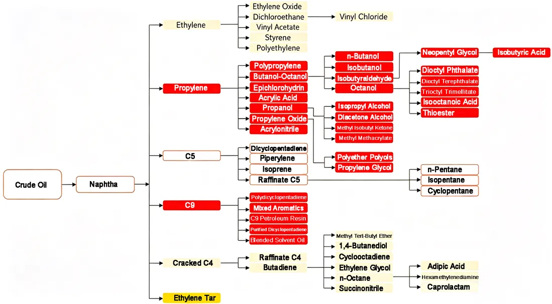process01.jpg